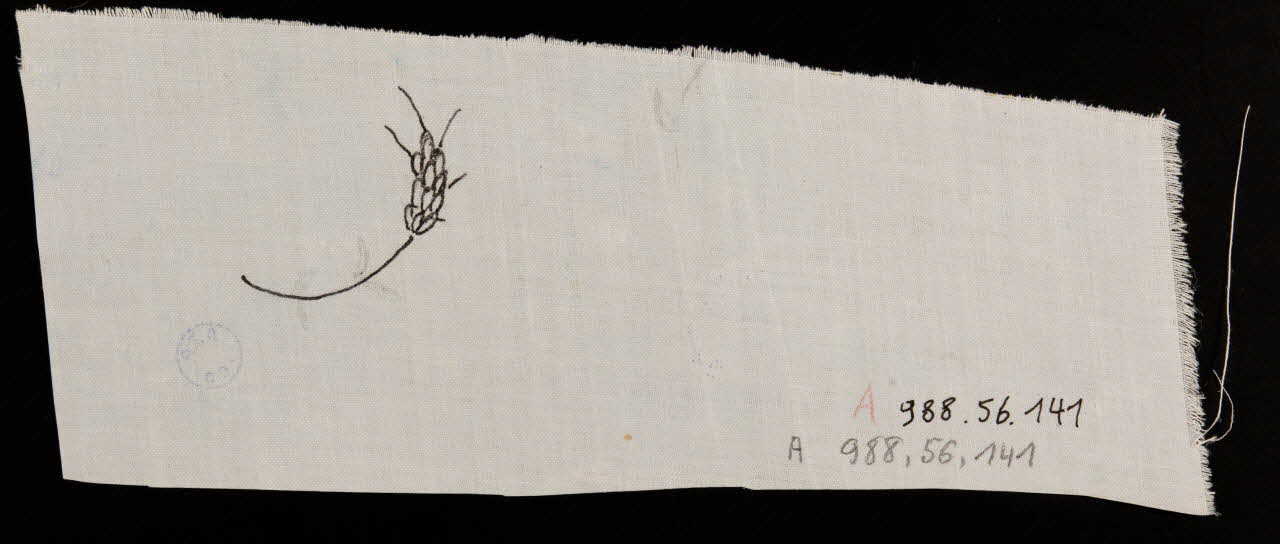 dessin Esquisse d'épi de blé 1988.56.141 Photo