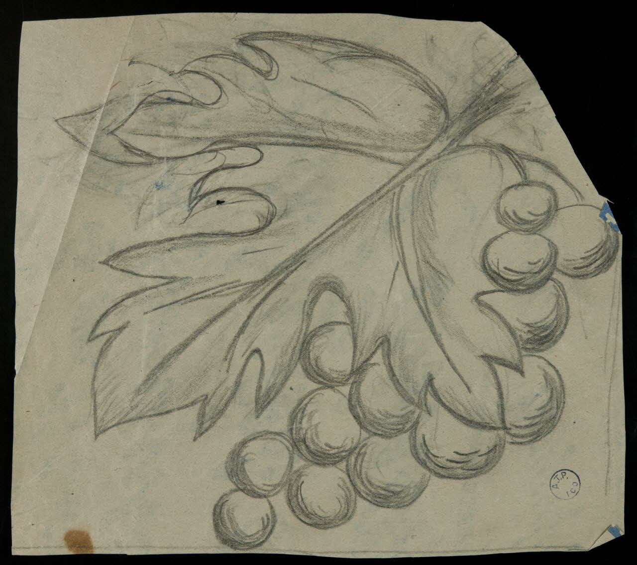 poncif Grappe de raisin et feuille de vigne 1988.57.202 Photo