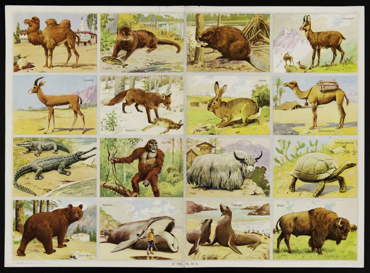 planche de vignettes Vignettes d'animaux 1988.57.241 Photo