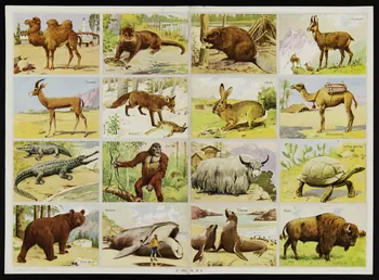 planche de vignettes Vignettes d'animaux 1988.57.241 Photo
