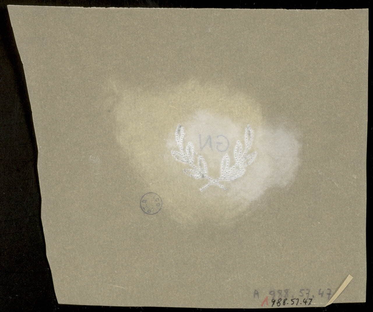 poncif Poncif 1988.57.47 Photo