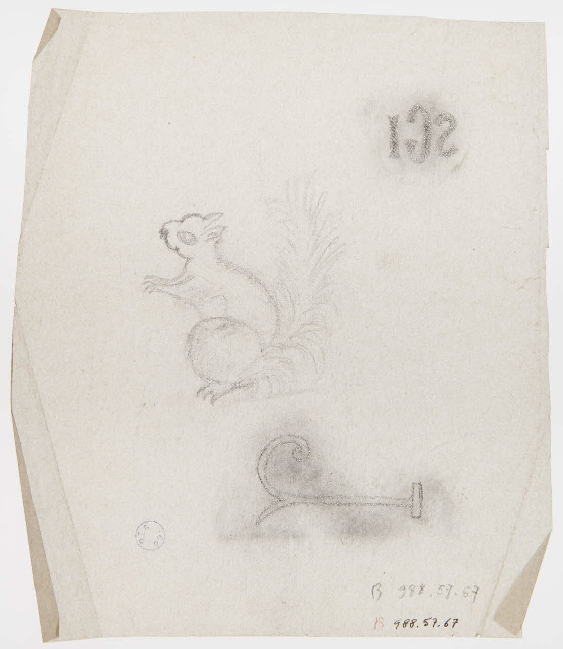 poncif Ecureuil 1988.57.67 Photo