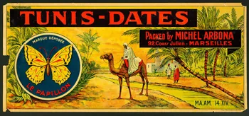 estampe TUNIS - DATES 1990.1.273 Photo
