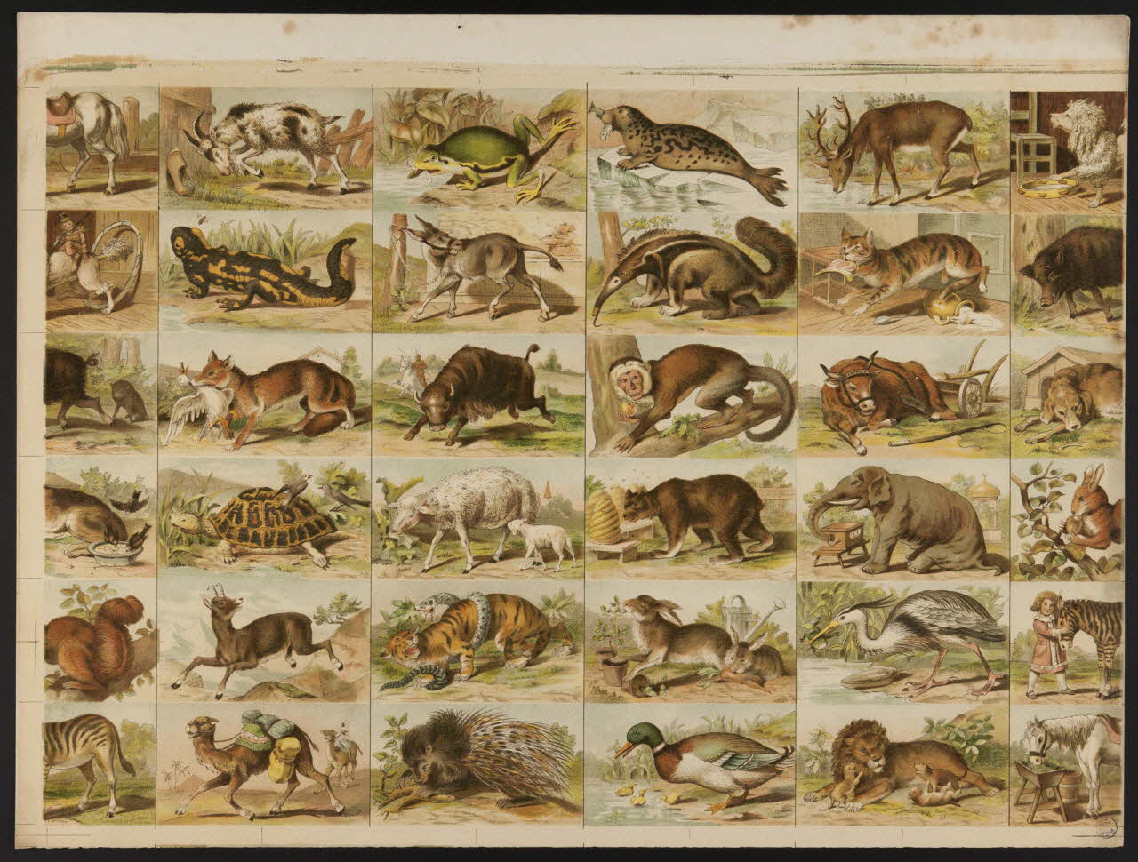 estampe Représentations animalières 1990.39.21 Photo