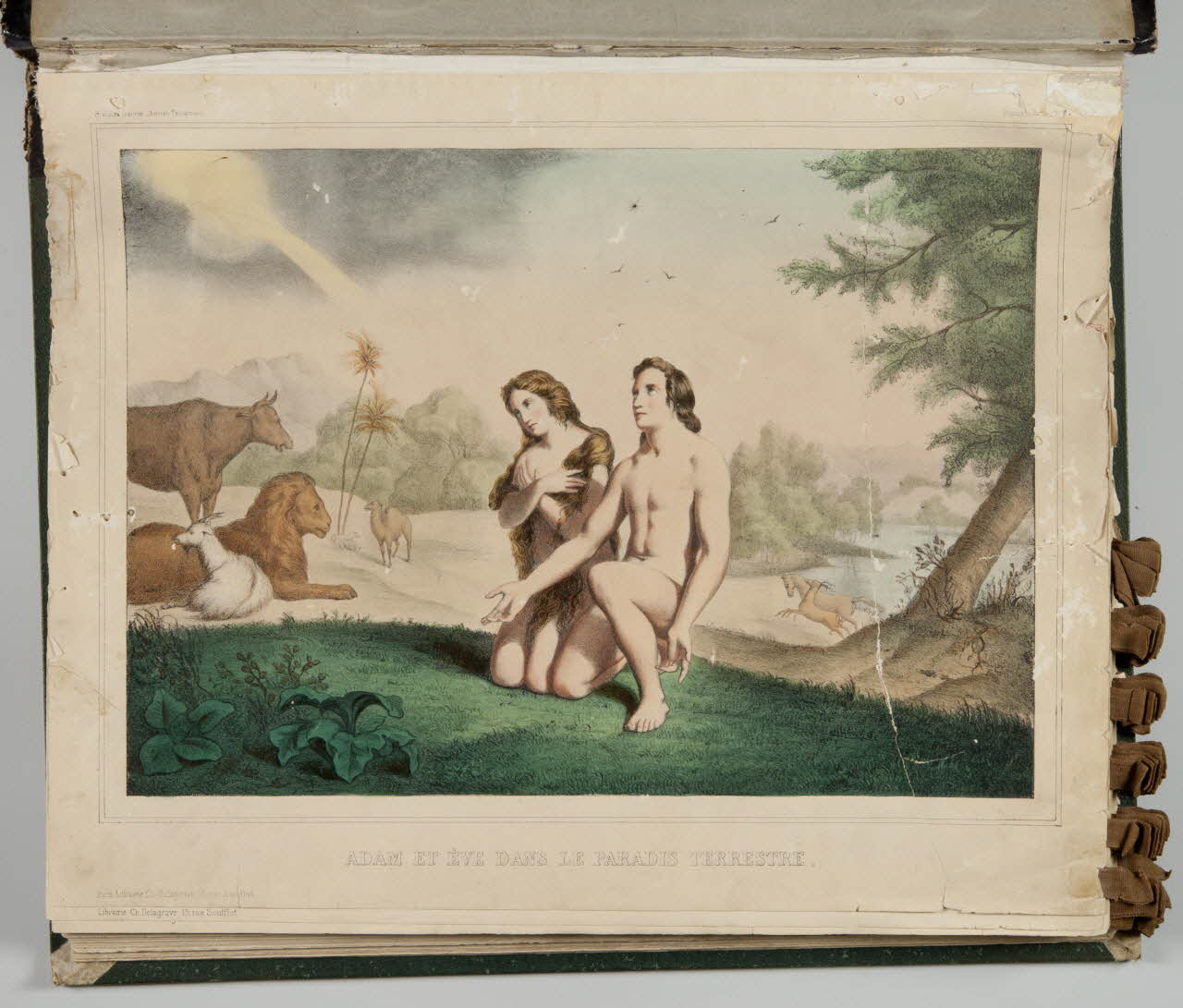 album ADAM ET EVE DANS LE PARADIS TERRESTRE. 1990.4.1.1 Photo