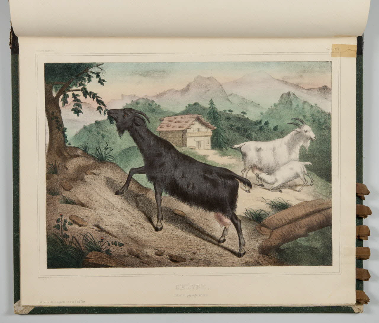 album CHEVRE.  Châlet et paysage Suisse. 1990.4.1.117 Photo