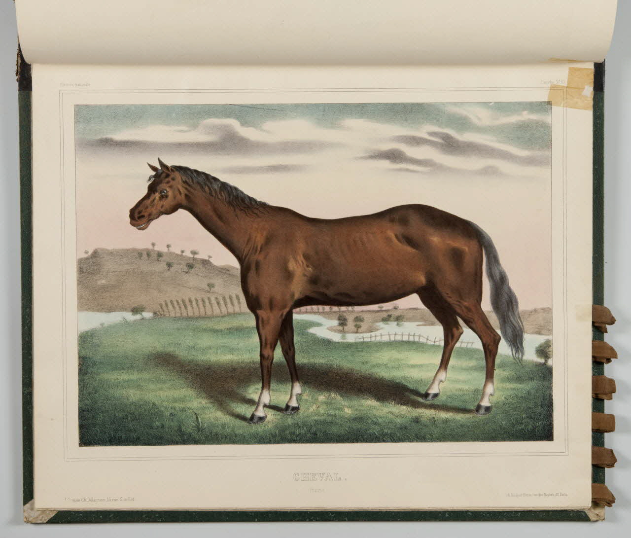 album CHEVAL.  Prairie. 1990.4.1.120 Photo