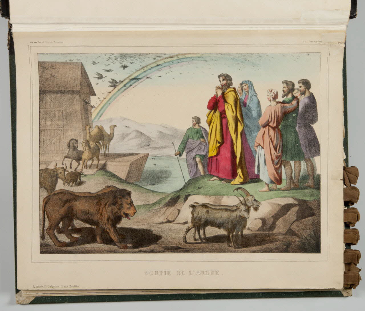 album SORTIE DE L'ARCHE. 1990.4.1.6 Photo