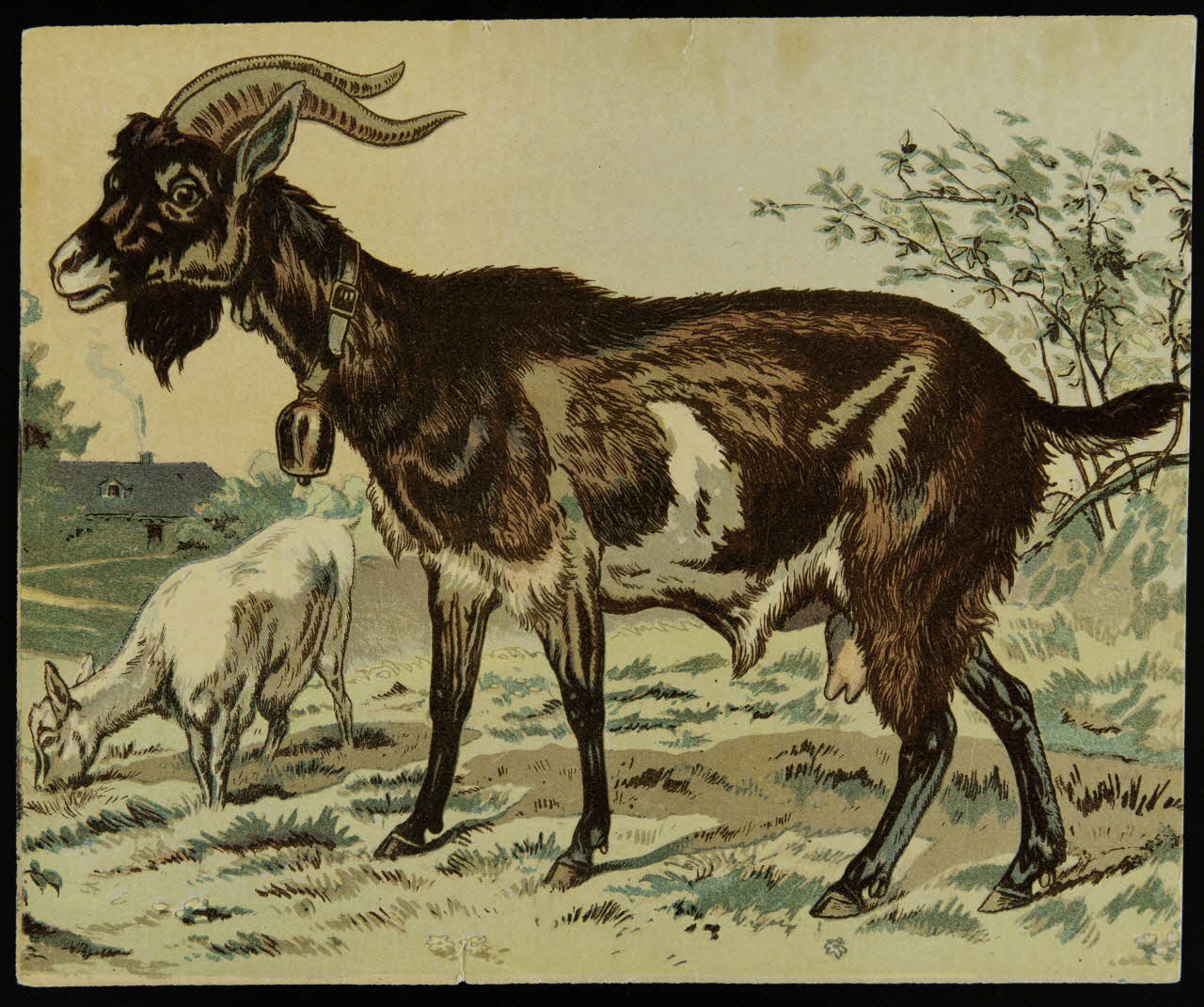 jeu de cubes Chèvre et chevreau 1991.16.107 Photo