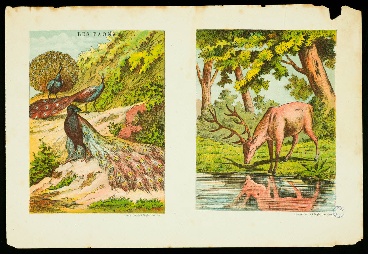 à compartiments : 2x1 LES PAONS. LE CERF QUI SE MIRE 1991.17.23 Photo