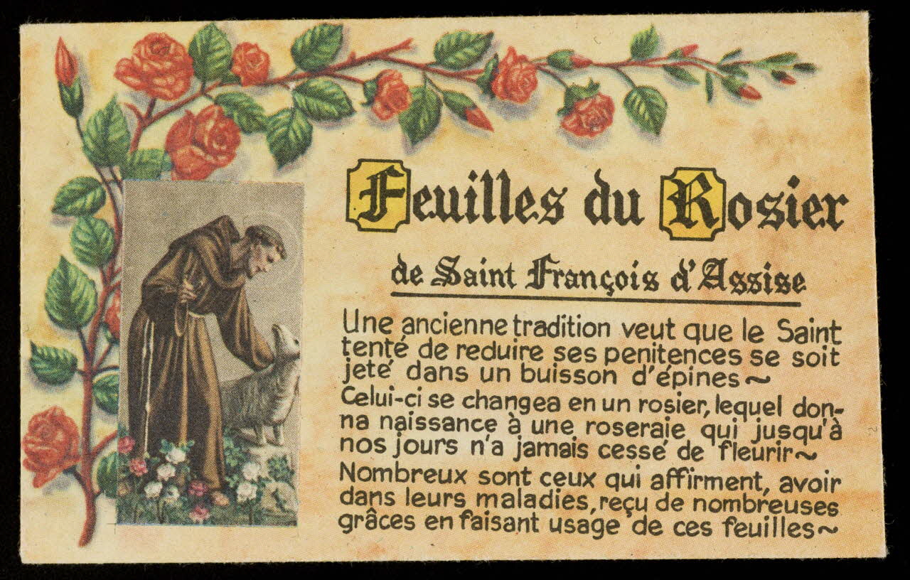 image pieuse Feuilles du Rosier  de Saint François d'Assise 1991.25.50 Photo