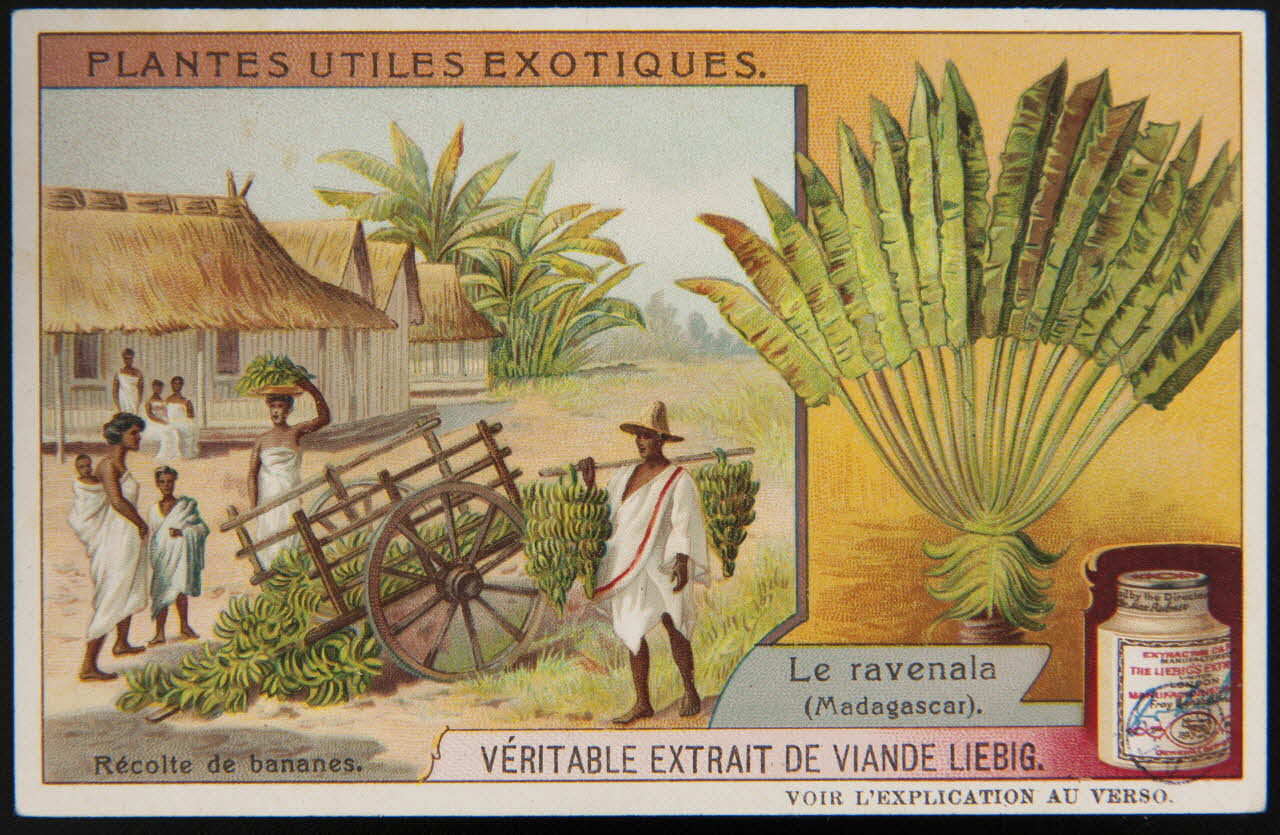 carte réclame chromo Paris 1908 1992.1.146 Photo