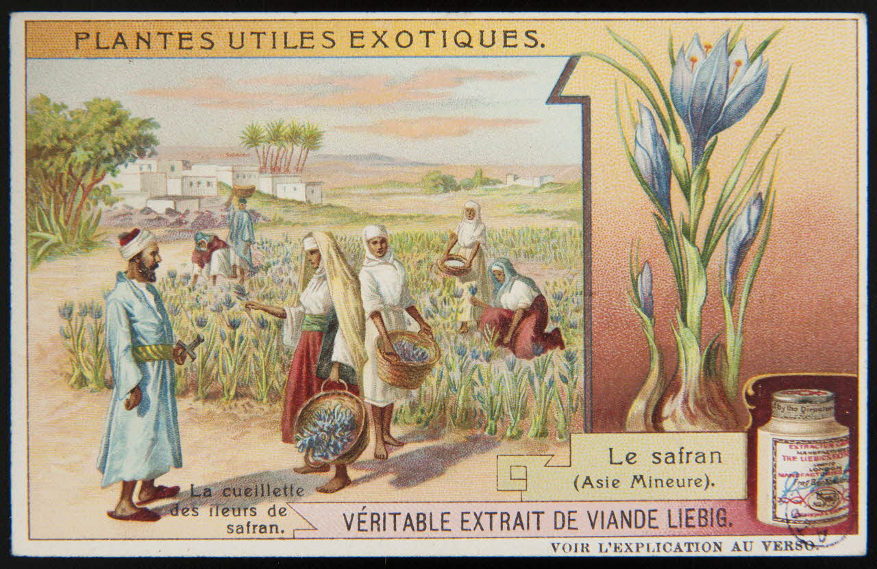 carte réclame chromo Paris 1908 1992.1.147 Photo