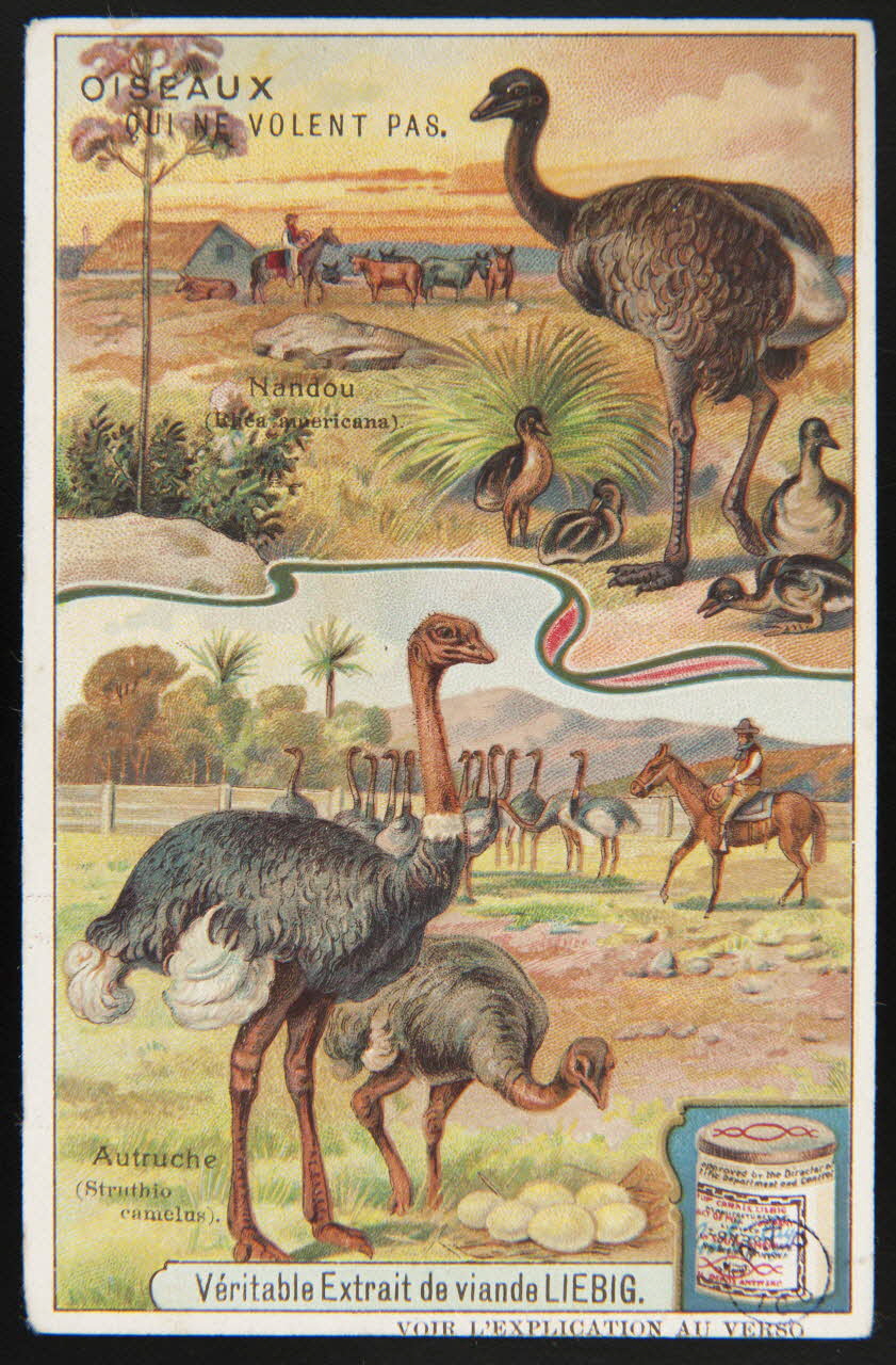 carte réclame chromo Paris 1907 1992.1.161 Photo