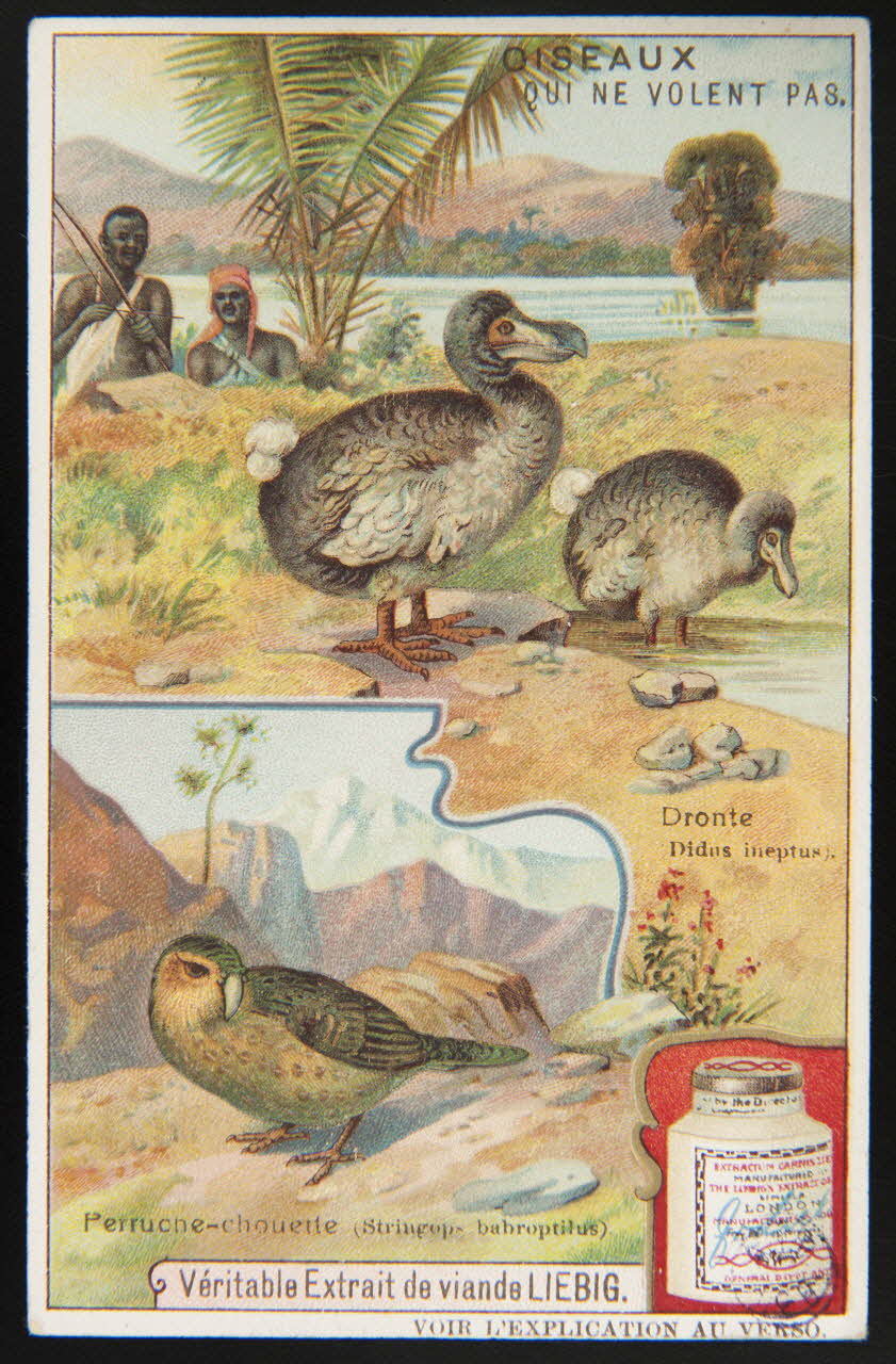 carte réclame chromo Paris 1907 1992.1.165 Photo