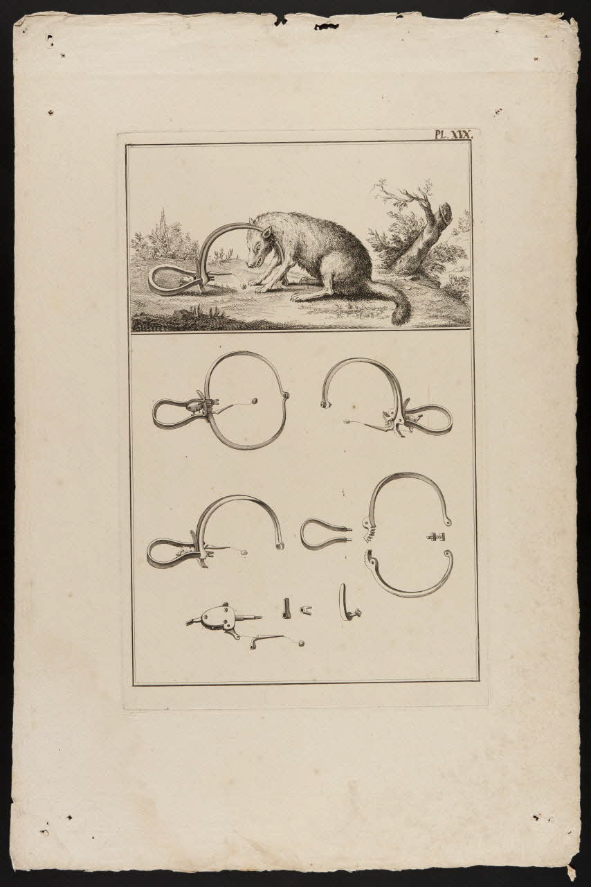 imagerie ancienne Renard pris dans un piège à mâchoires, mécanisme détaillé du piège 1992.40.10 Photo