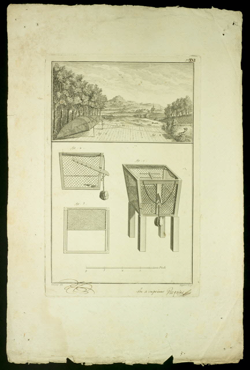 imagerie ancienne Piège à oiseaux 1992.40.12 Photo