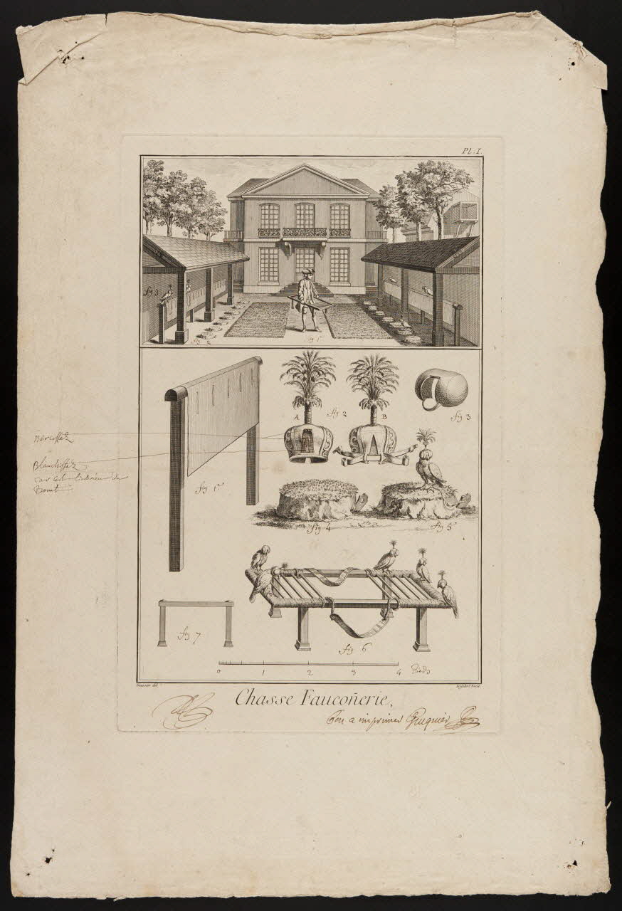 imagerie ancienne Chasse Fauconerie. 1992.40.2 Photo