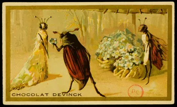 carte réclame Un hanneton offre des fleurs à une fourmi vêtue d'une robe blanche 1889 1994.31.322.1  Photo