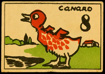 carte réclame CANARD 1996.40.1763.1  Photo