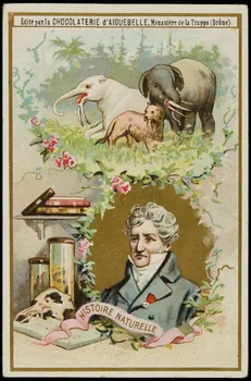 Edition de la Chocolaterie d'Aiguebelle carte réclame chromo 1883-1900 1996.40.393.4  Photo