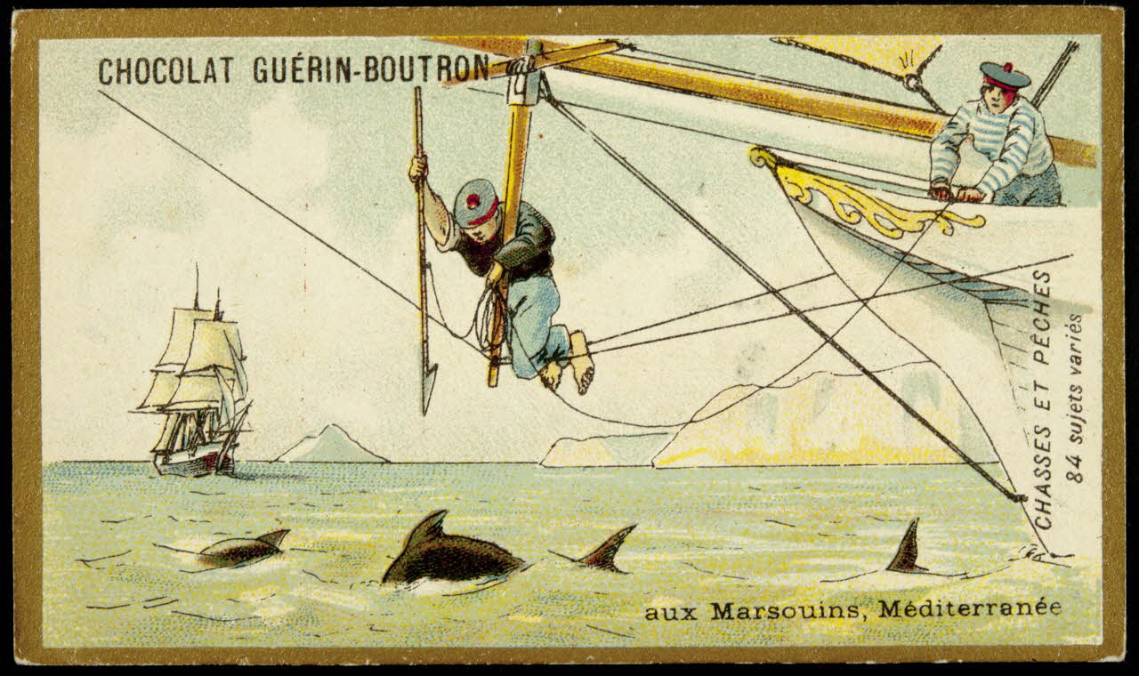 carte réclame CHASSES ET PECHES  aux Marsouins, Méditerranée 1998.77.135.16 Photo