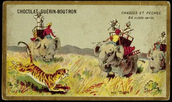 carte réclame CHASSES ET PECHES  au Tigre 1998.77.135.21 Photo