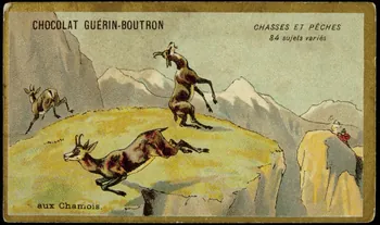 carte réclame CHASSES ET PECHES  aux Chamois. 1998.77.135.5  Photo