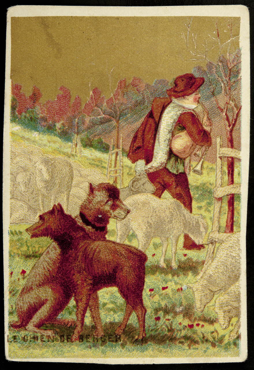 carte réclame LE CHIEN DE BERGER 1998.77.148.1 Photo