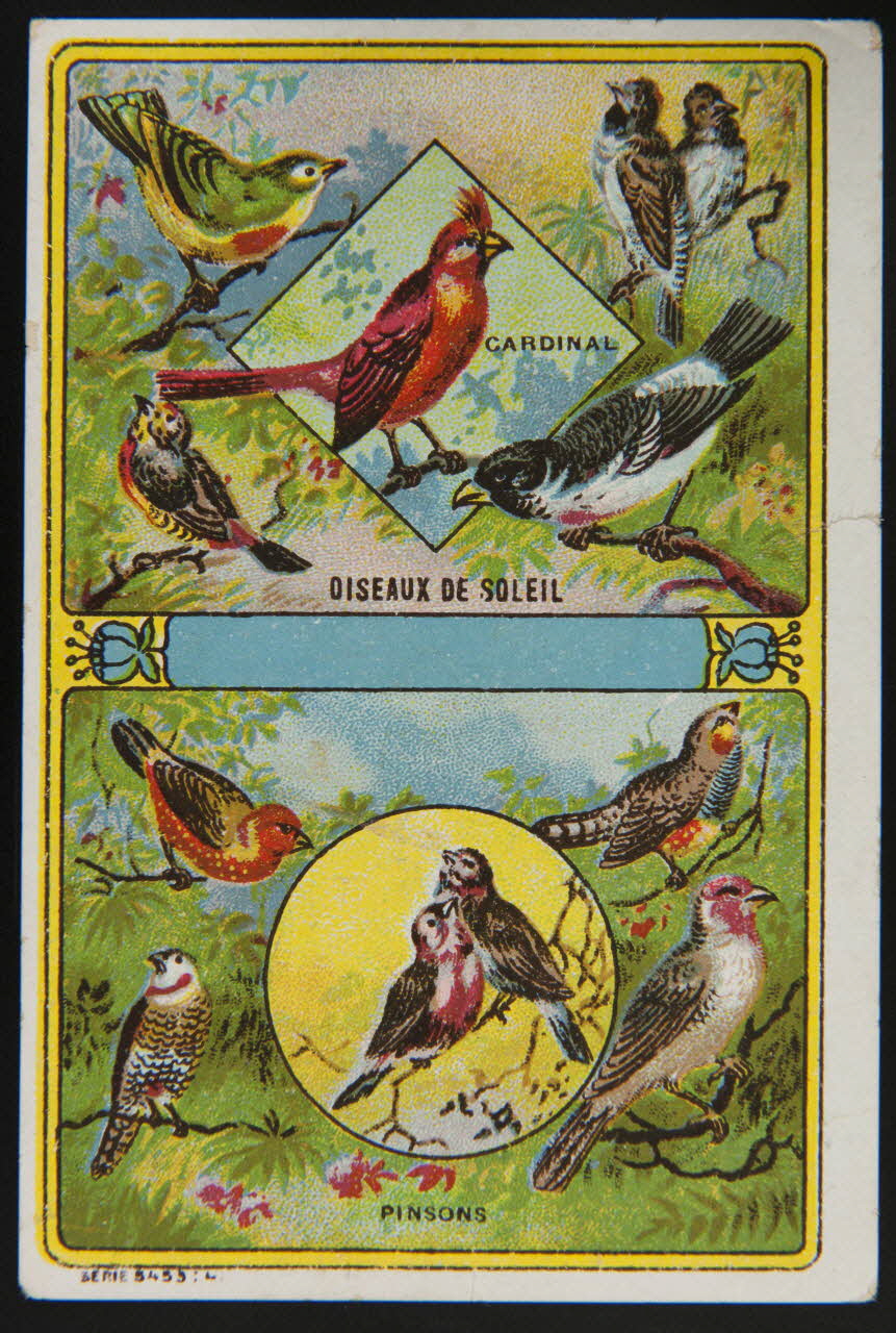 carte réclame CARDINAL  OISEAUX DE SOLEIL  PINSONS 1998.77.197.1 Photo