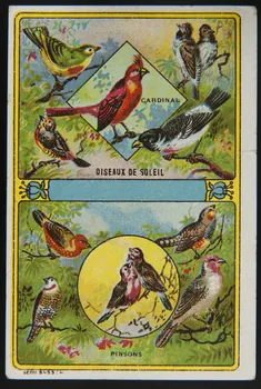 carte réclame CARDINAL  OISEAUX DE SOLEIL  PINSONS 1998.77.197.1  Photo