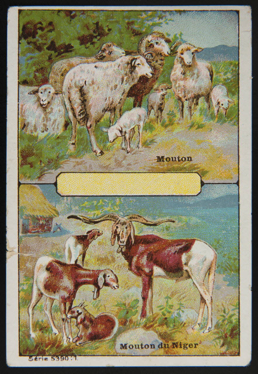 carte réclame MOUTON  MOUTON DU NIGER 1998.77.198.1 Photo