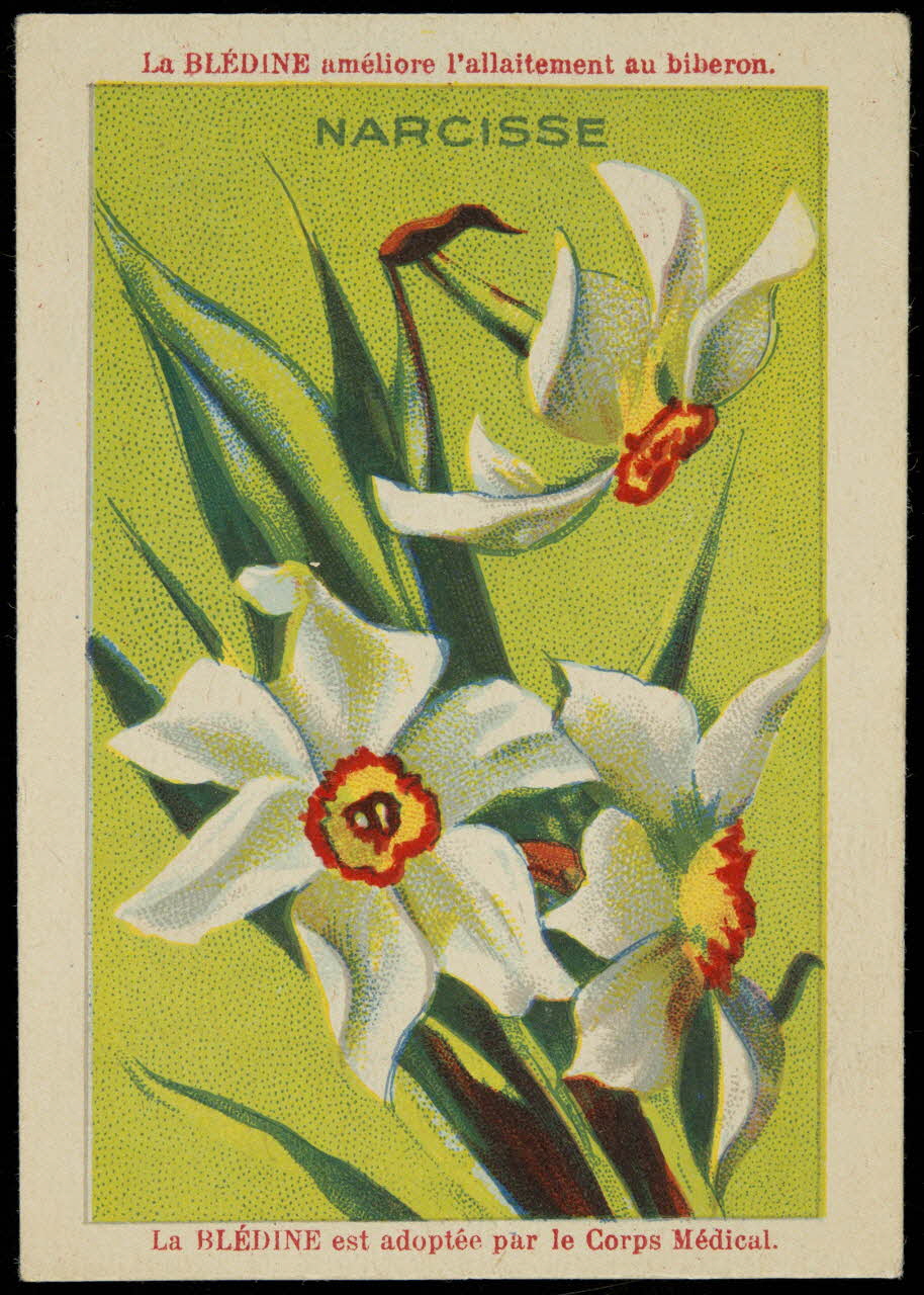 carte réclame NARCISSE 1998.77.209.2 Photo