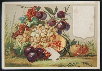 carte réclame Groseille, prunes, abricots, melon et raisin 1998.77.267.2 Photo