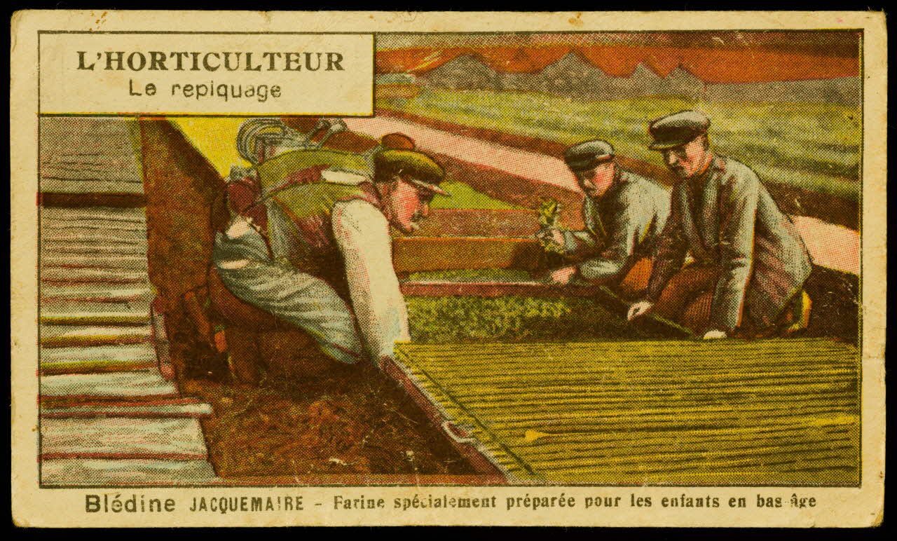 carte réclame L'HORTICULTEUR  Le repiquage 1998.77.301.3 Photo