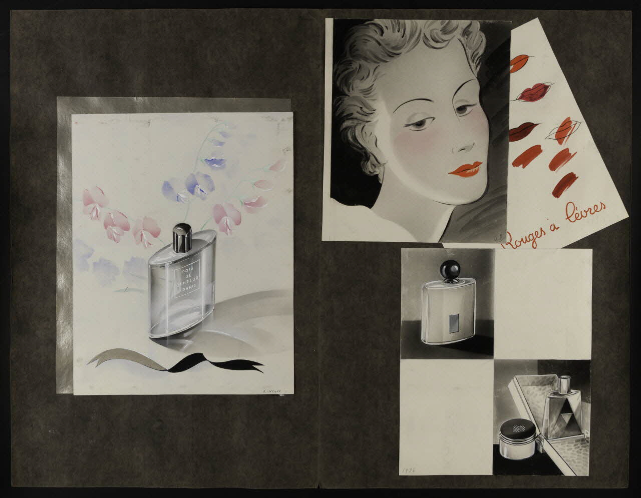 dessin Pois de senteur 2001.21.15 Photo