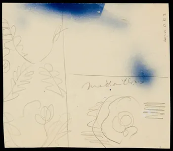 dessin Esquisse de papier peint 2001.21.64.12  Photo