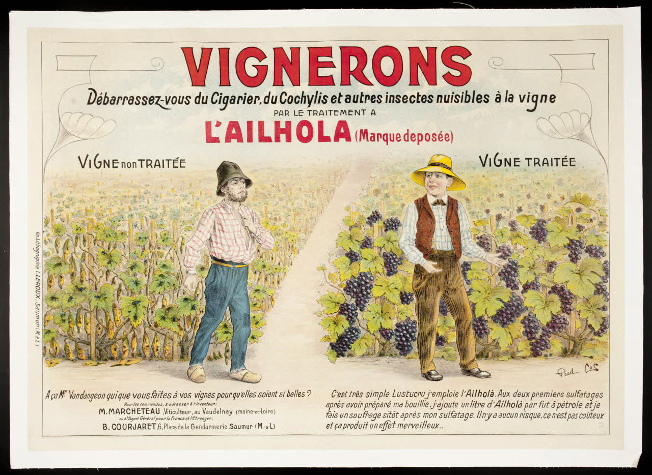 affiche VIGNERONS  Débarrassez-vous du Cigarier, du Cochylis et autres insectes nuisibles à la vigne 2001.4.36 Photo