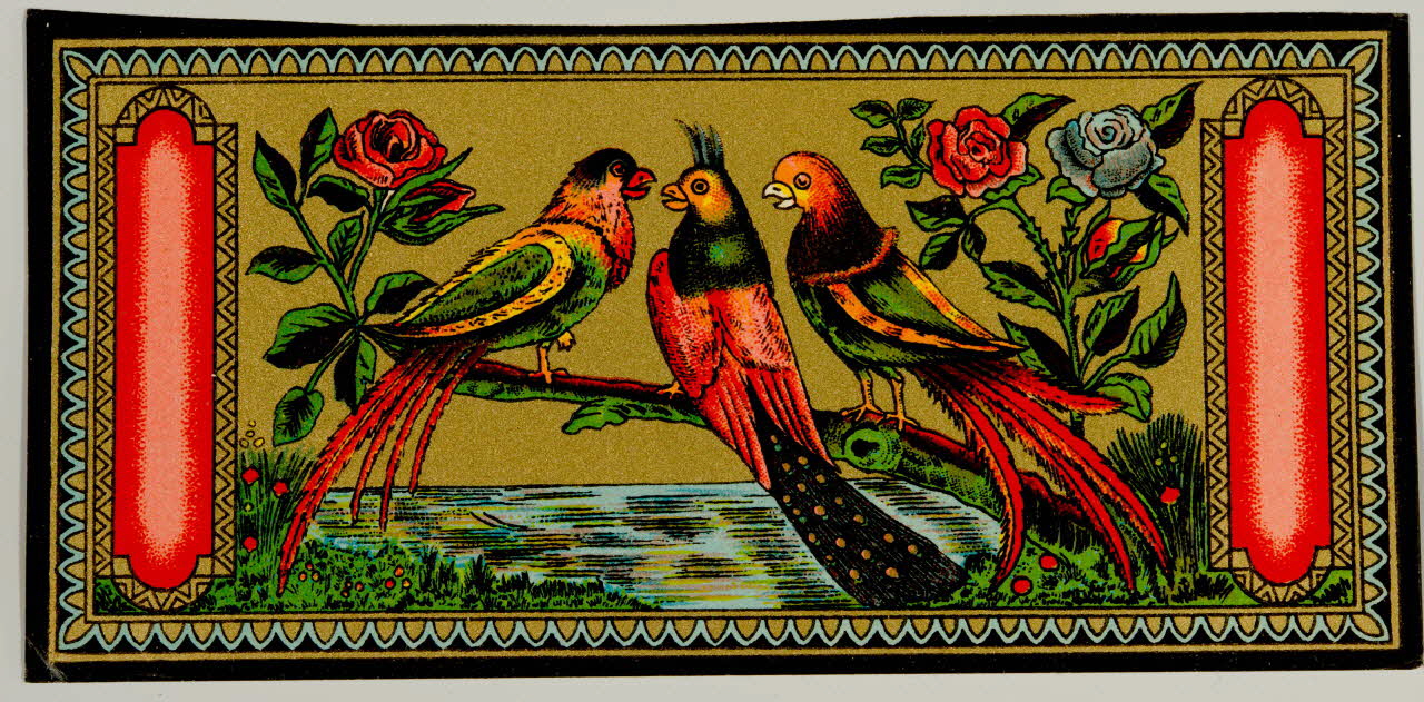 étiquette Oiseaux 2002.70.22 Photo