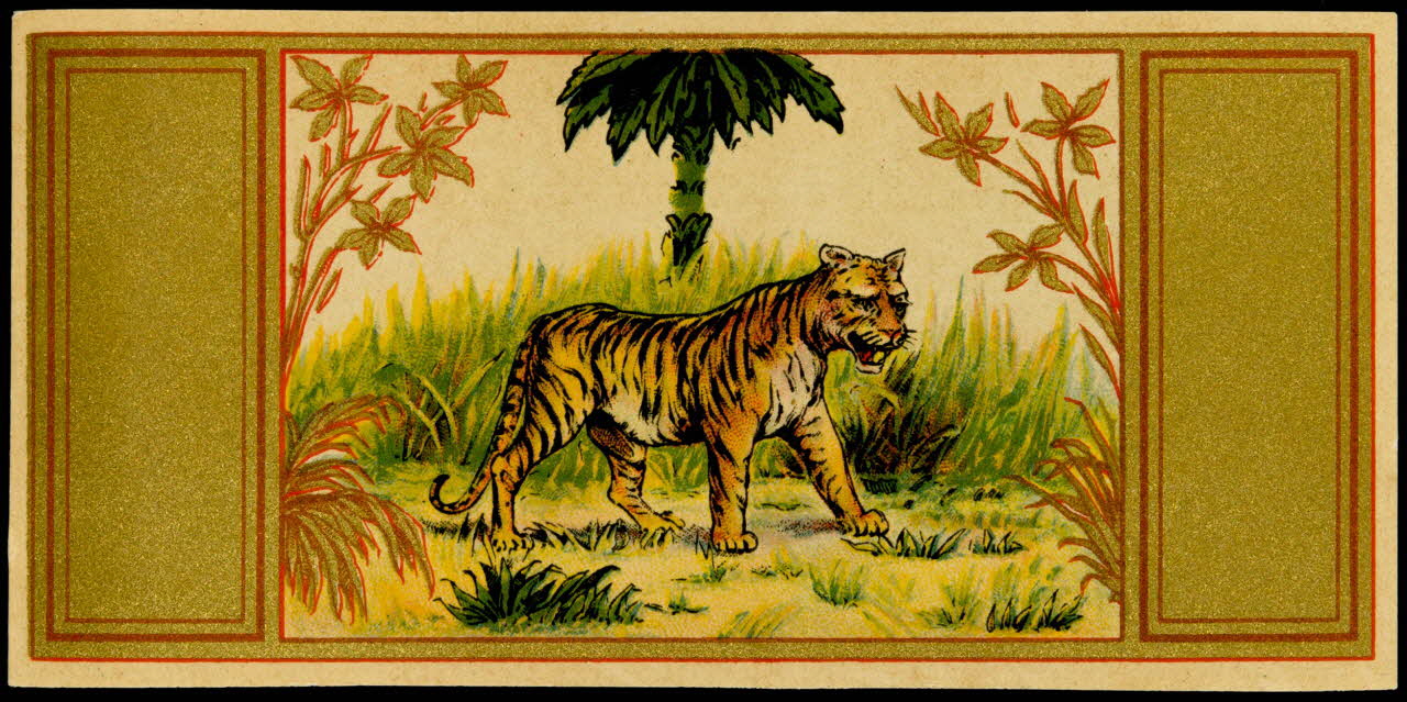 étiquette Tigre 2002.70.23 Photo