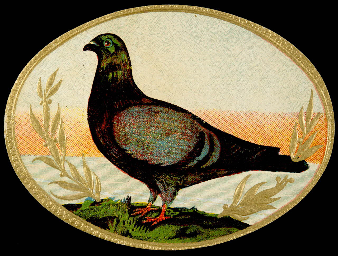 étiquette Pigeon voyageur 2002.70.27  Photo