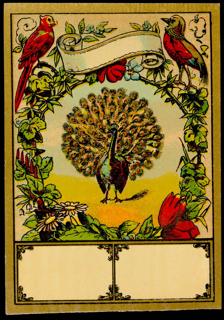 étiquette Paon 2002.70.28 Photo