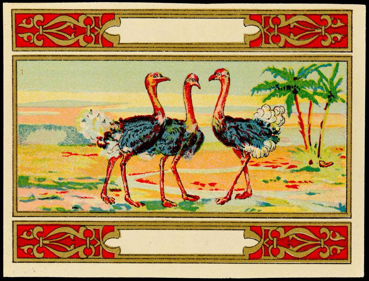 étiquette Autruches 2002.70.3 Photo