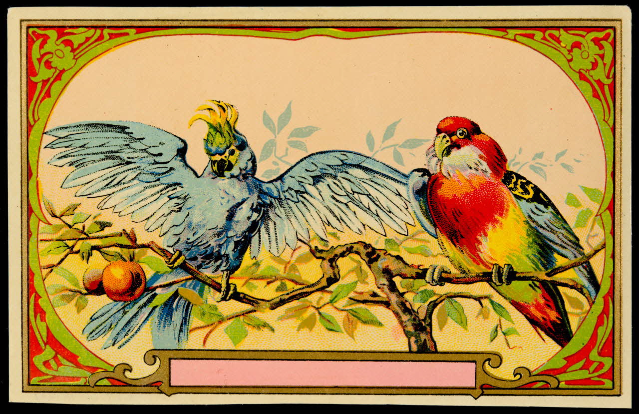 étiquette Perroquets 2002.70.4 Photo