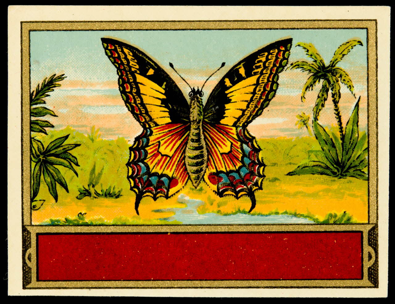 étiquette Papillon 2002.70.45 Photo