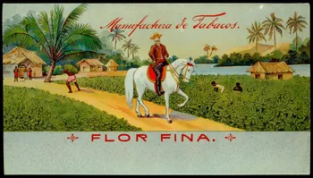 étiquette Manufactura de Tabacos.  FLOR FINA. 2002.70.58 Photo