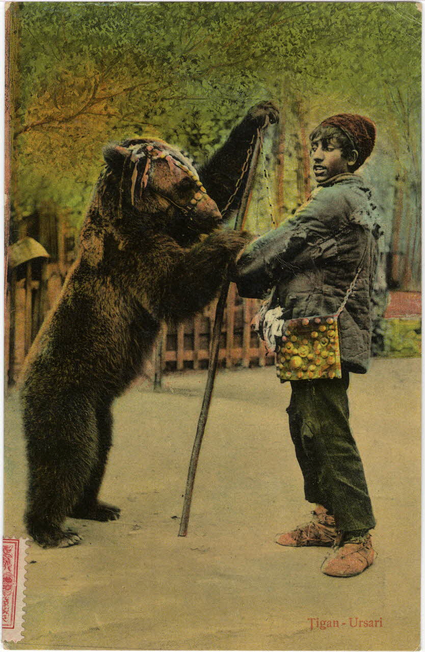 carte postale Tigan-Ursari Sou.10.100.1 Photo