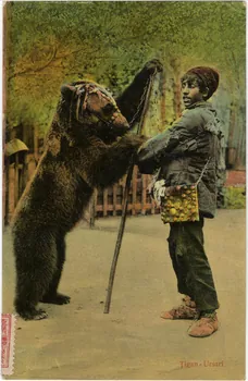 carte postale Tigan-Ursari Sou.10.100.1 Photo