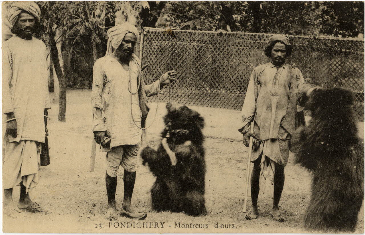 23. Pondichéry. Montreurs d'ours. Sou.10.101.1 Photo