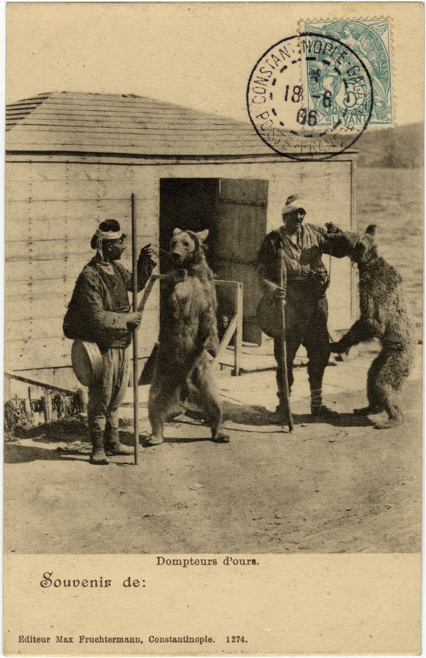 Souvenir de dompteurs d'ours. Sou.10.101.2 Photo